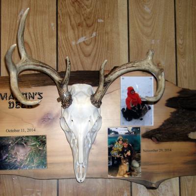 Skull Mount